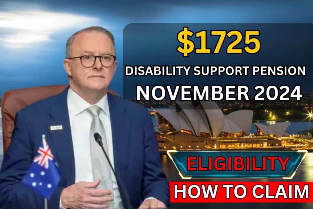 $1725 Disability Support Pension Nov 2024