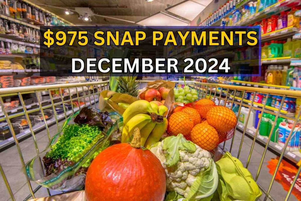 $975 SNAP Payments In December 2024