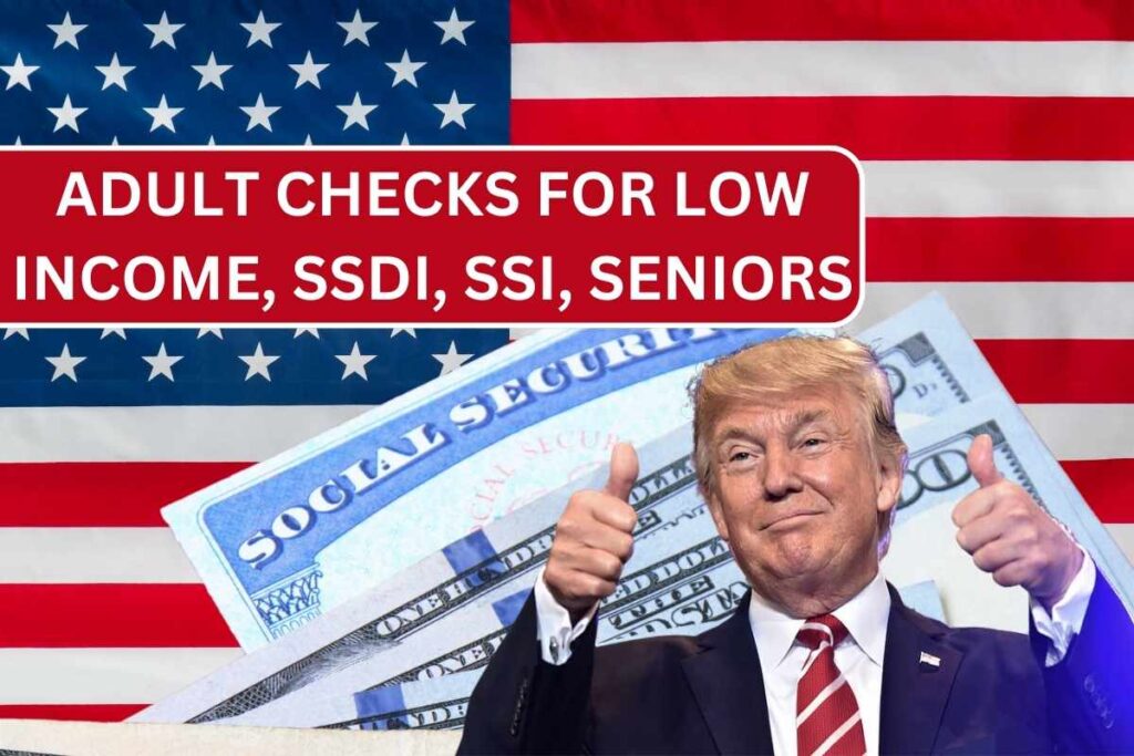 Adult Checks For Low Income, SSDI, SSI, Seniors In November 2024 By SSA