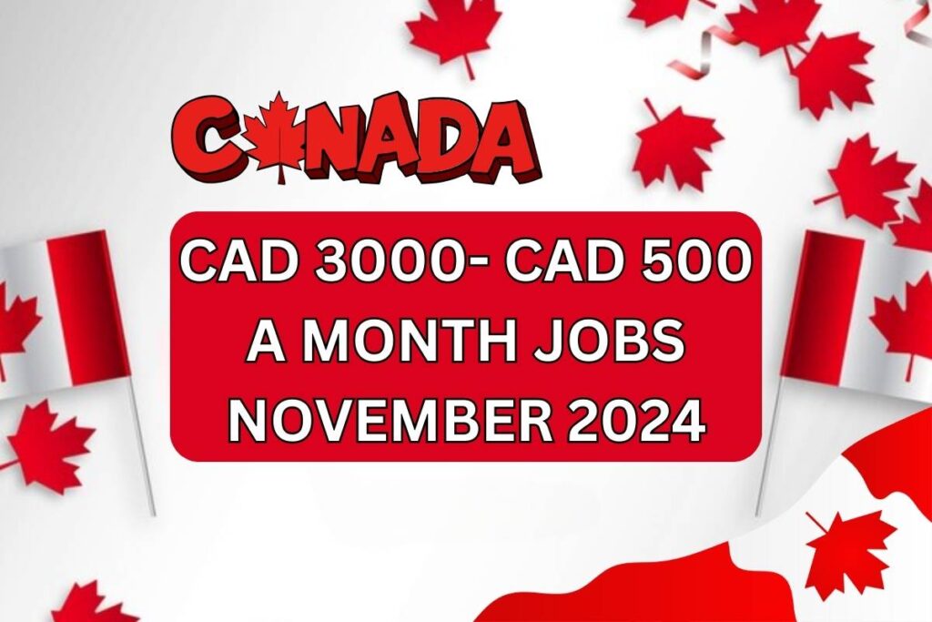 CAD 3000- CAD 5000 A Month Jobs In Canada November 2024