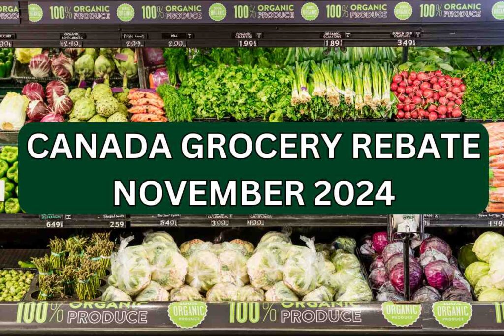 Canada Grocery Rebate November 2024