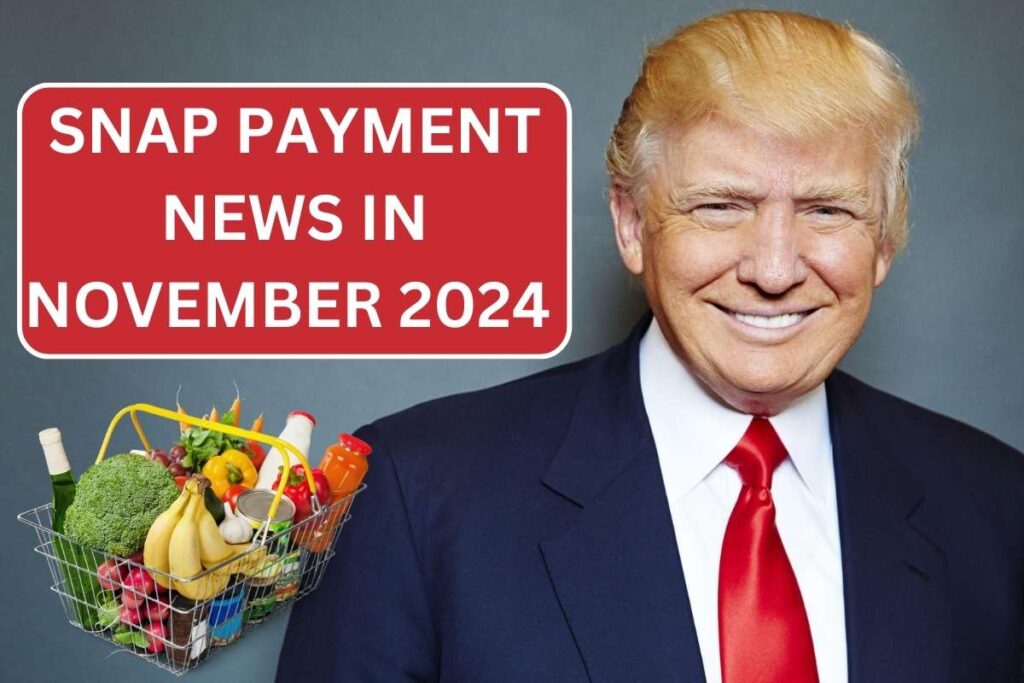 SNAP Payment News In November 2024 - Check Food Stamp Eligibility